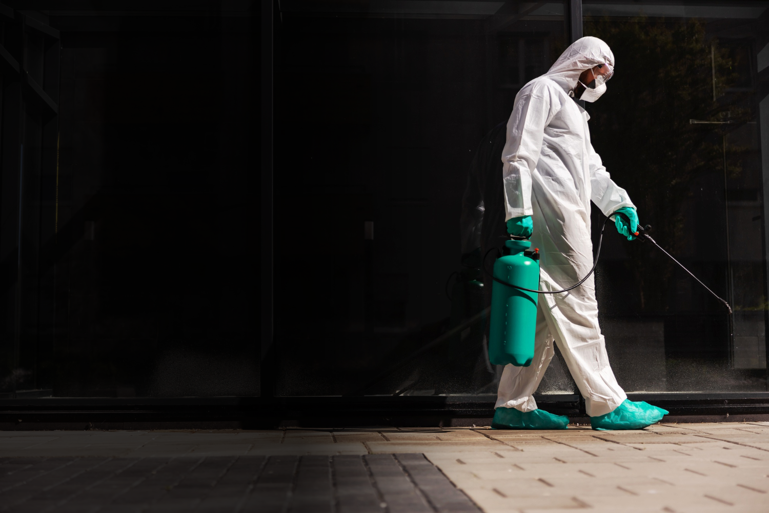 Foto: dusanpetkovic – Freepik – Premium License